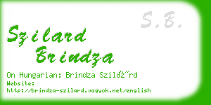 szilard brindza business card